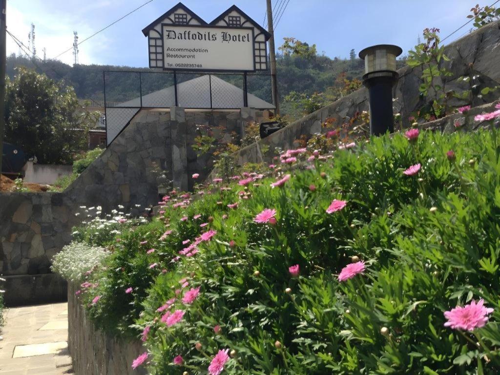 Daffodil's Hotel Nuwara Eliya Eksteriør billede