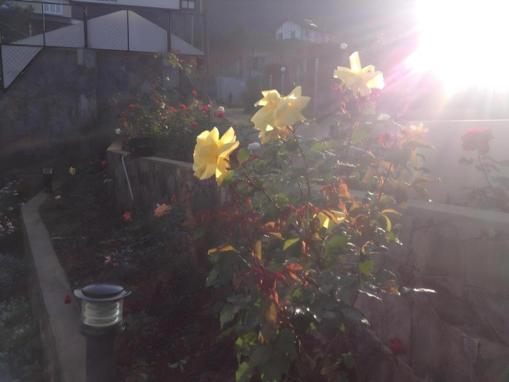 Daffodil's Hotel Nuwara Eliya Eksteriør billede
