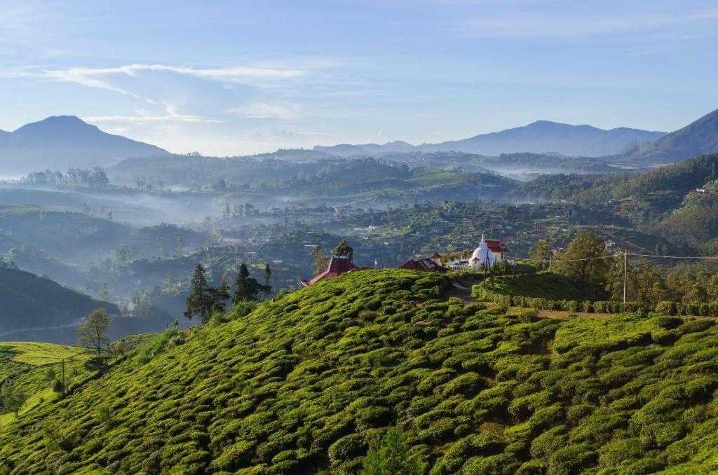 Daffodil's Hotel Nuwara Eliya Eksteriør billede